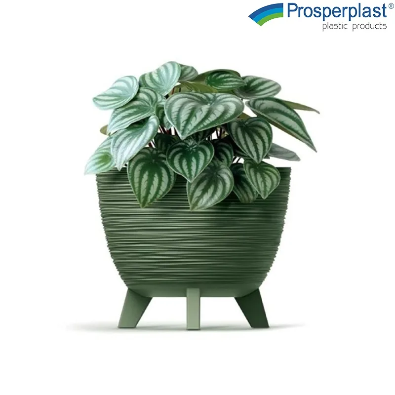 Кашпа Prosperplast Furu зелена, 29 см